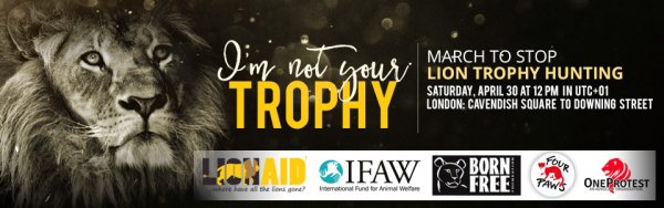 banner-new-1459372129