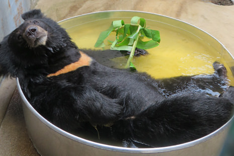 14968357424_8e94abfb9d