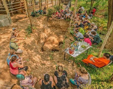 1936357_10153918168133780_8371890416294111683_n