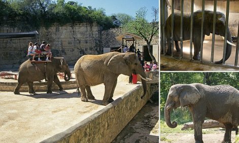 Elephant at Henry Doorly Zoo. Image shot 2005. Exact date unknown.