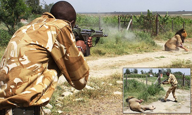 32AB628C00000578-0-image-a-61_1459335946432