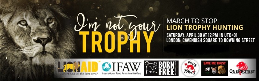 563_march-to-stop-lion-trophy-hunting_960x300