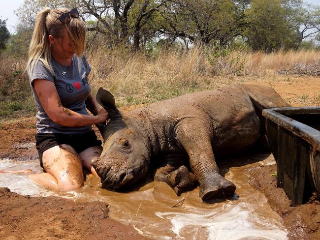 826dc3fa2178326ee39c4b7116e63696