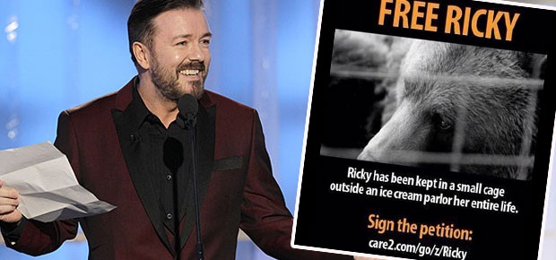 a8d5734f69674490892076fa81db2633