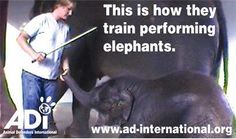 ADI a834b78cb2d94800e2ed1dfe3badd62b