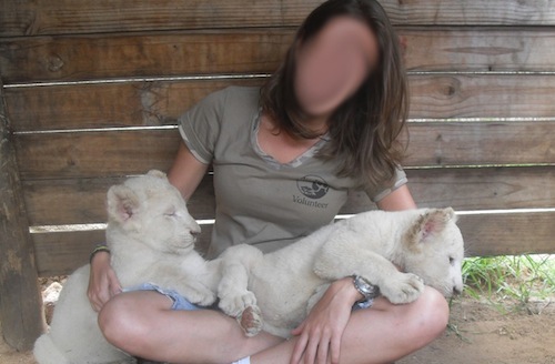 VLUU L100, M100  / Samsung L100, M100