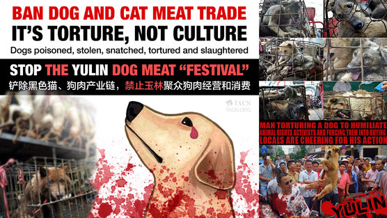 CwOyrIkHpfMNyai-556x313-noPad