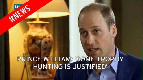 HRH 4221396001_4802439169001_4802416000001-vs