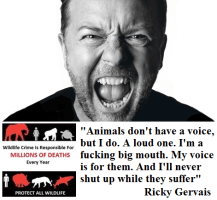 RICKY GERVAIS BIG MOUTH 2