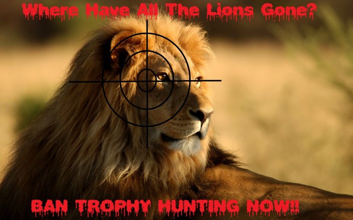 WHERE HAVE ALL THE LIONS GONE