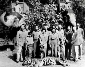 - - WWF blacknobil12_01_small