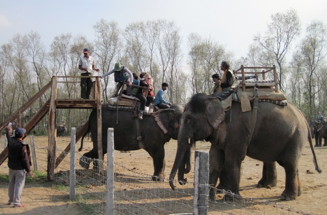 1.-All-aboard...-Elephant-safari-into-Chitwan-National-Park...-Last-Elephant-leaves-in-five-minutes