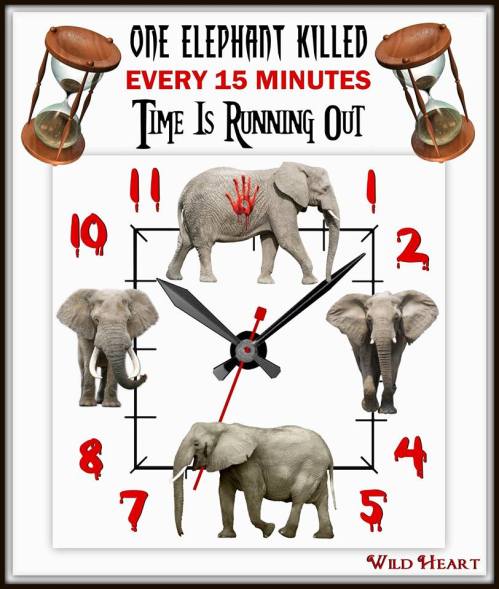 10334239_601142423324806_7421570759757868104_n