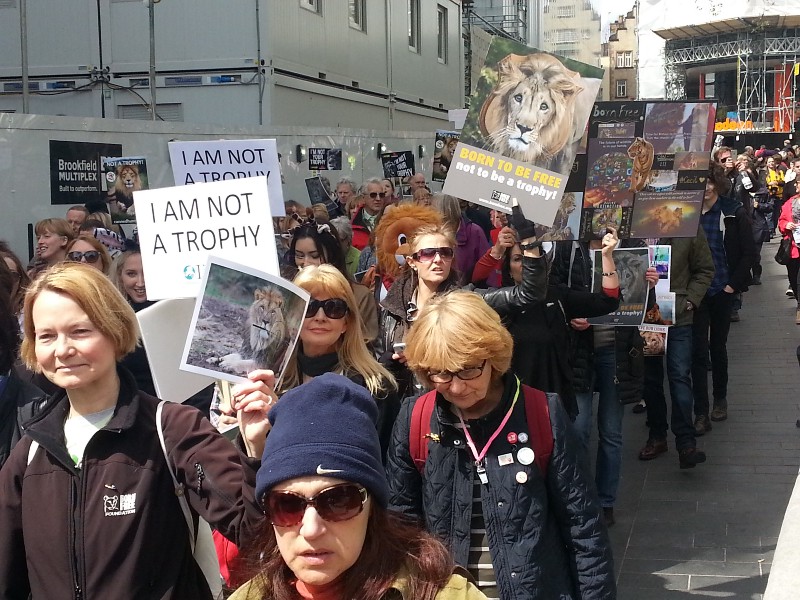 1_jJtIjibDcWTFjcEFRbbpeQ