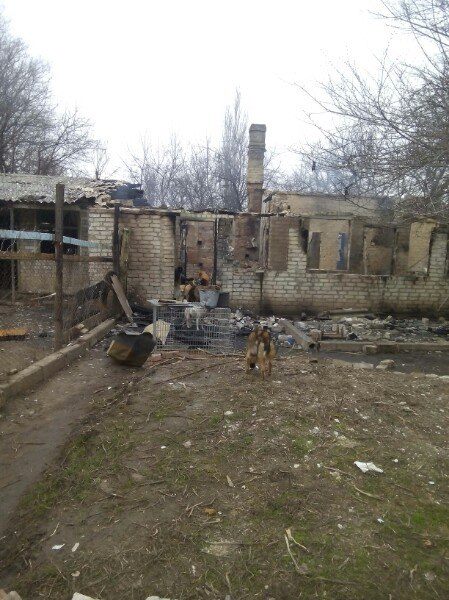 10360416_897512003699133_4671264466955135669_n