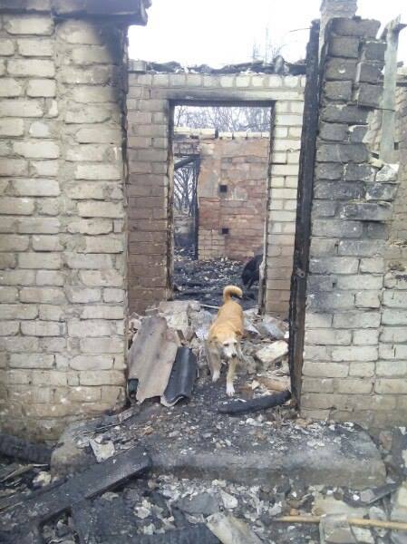 12813965_897512010365799_5685532121728145214_n