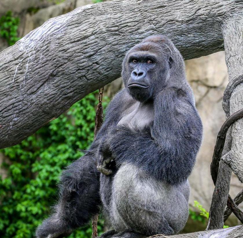 13327433_10153717165409016_2669370864456998062_n