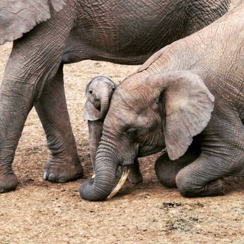 13450878_10209440557509290_2812964688611869180_n