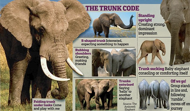 article-1394544-0C6BD87000000578-73_634x371