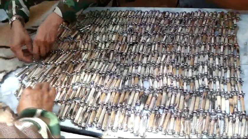 - - TIGER TEMPLE 3.jpg