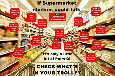 992997_150778385106880_1706864491_n_news_featured