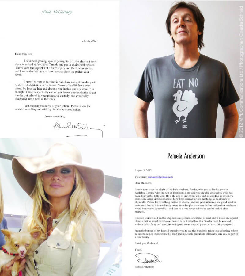 Paul-McCartney-and-Pamela-Anderson-Letters