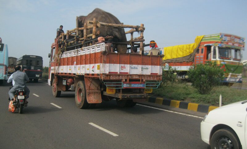 Sunder-on-Truck-to-Sanctuary