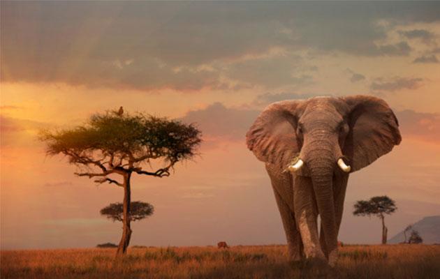 57e45bde8d35e_3_1bu8mun-1bu8muu