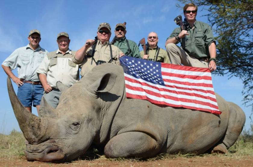 0-0-0-rhino-with-us-flag