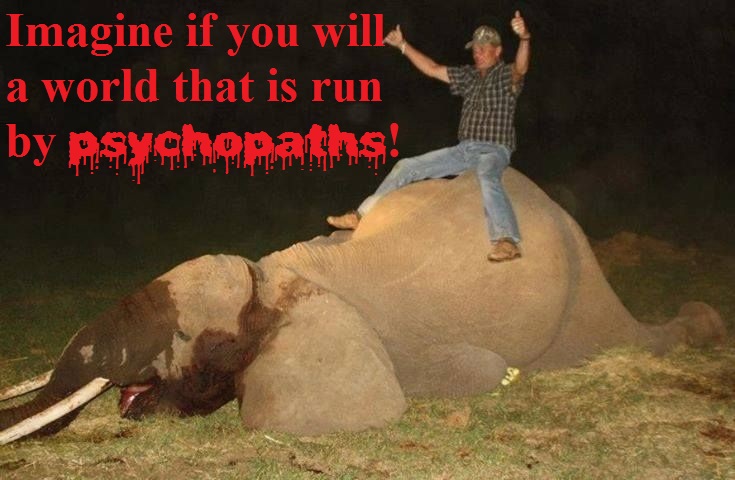 56a2b4fa0005ab6cb6c0f03cdb9f899d