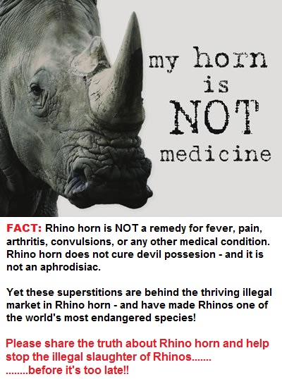 rhino-horn-is-not-medicine-animals-16576595-400-500