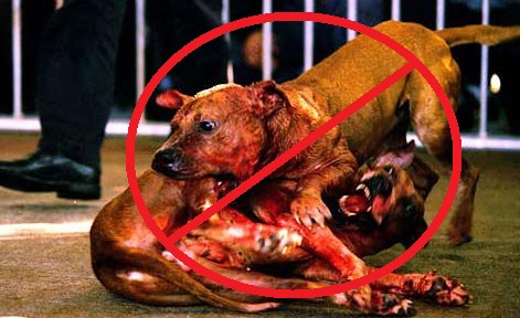 12aa772e0576368a5bca25ff8f8abeb1