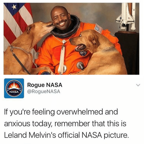 rogue-nasa-rogue-nasa-nasa-if-youre-feeling-overwhelmed-and-13511695