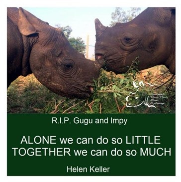 45ed481a-ac51-478a-a6b8-a1efd9b66f98