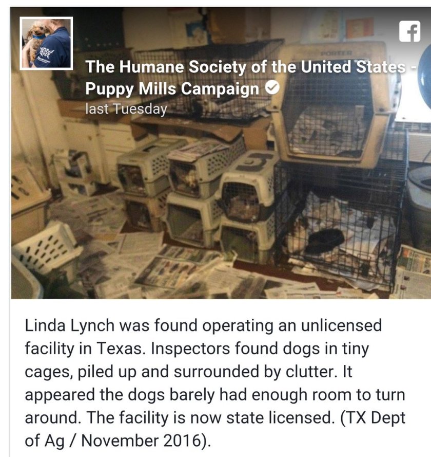 PUPPY MILL