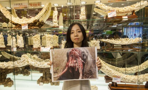 fdd1efc51ff6a3fe13585a1cc2994e14