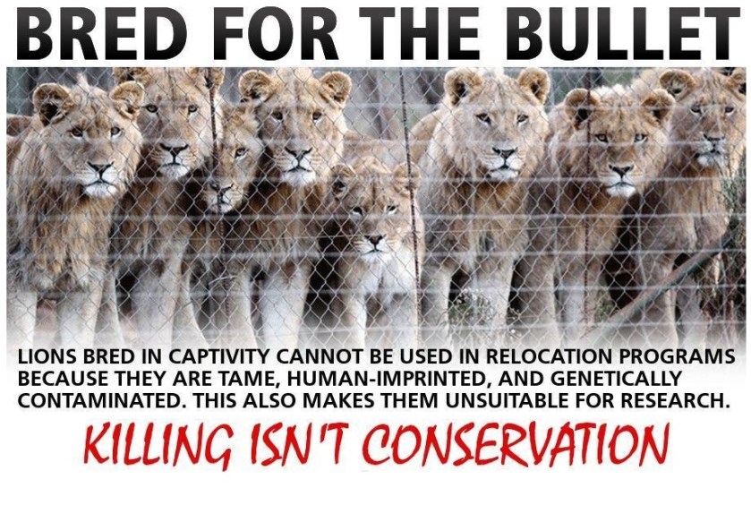 DLlZGVjWsAAhqbR.jpg large