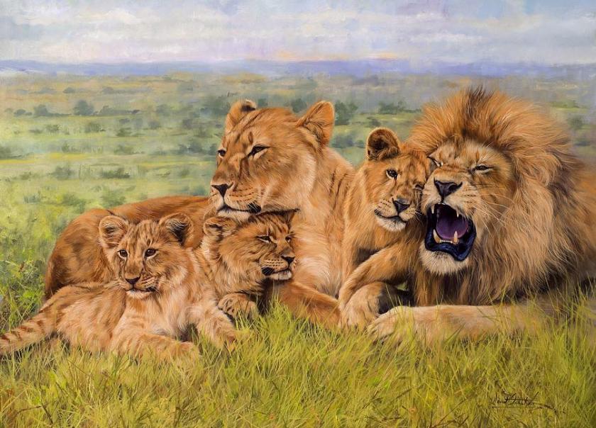lion-family-david-stribbling