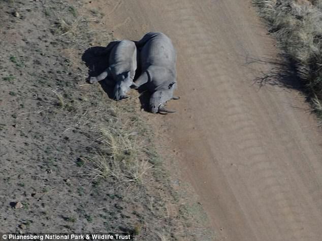 45F1DAA800000578-5043451-image-a-17_1509637322828