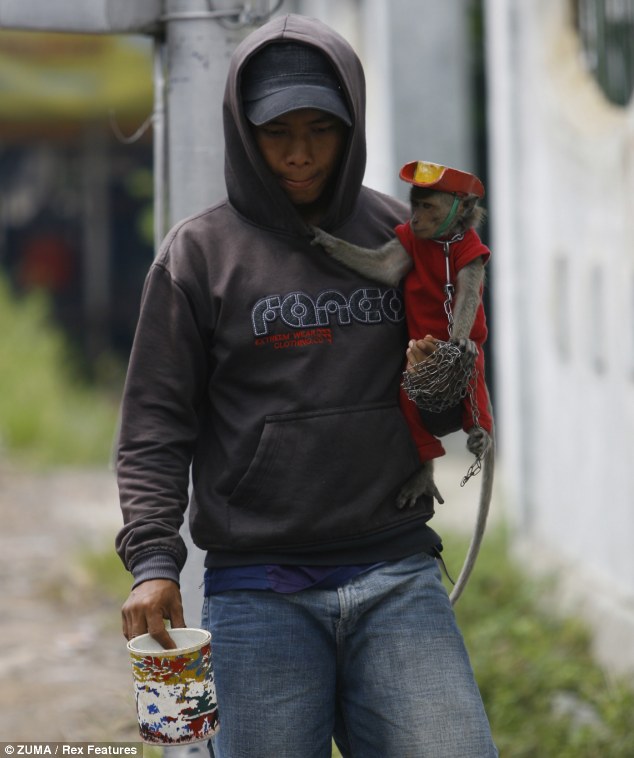 article-2263907-16FDE4F4000005DC-976_634x758