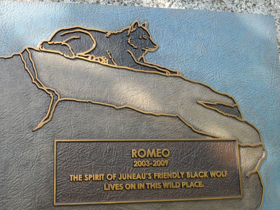 02-a-wolf-called-romeo-plaque-fsl