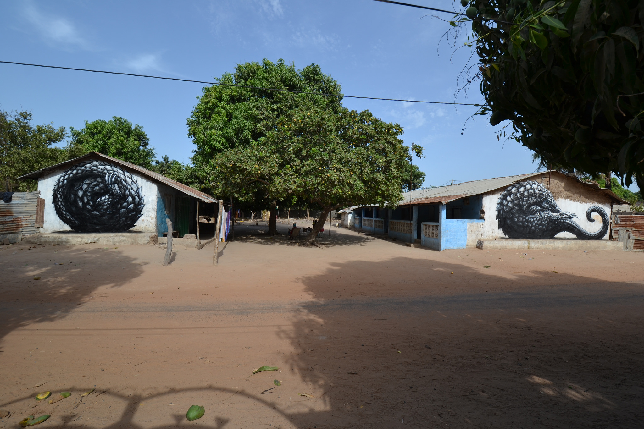 ROA MAKASUTA THE GAMBIA 1